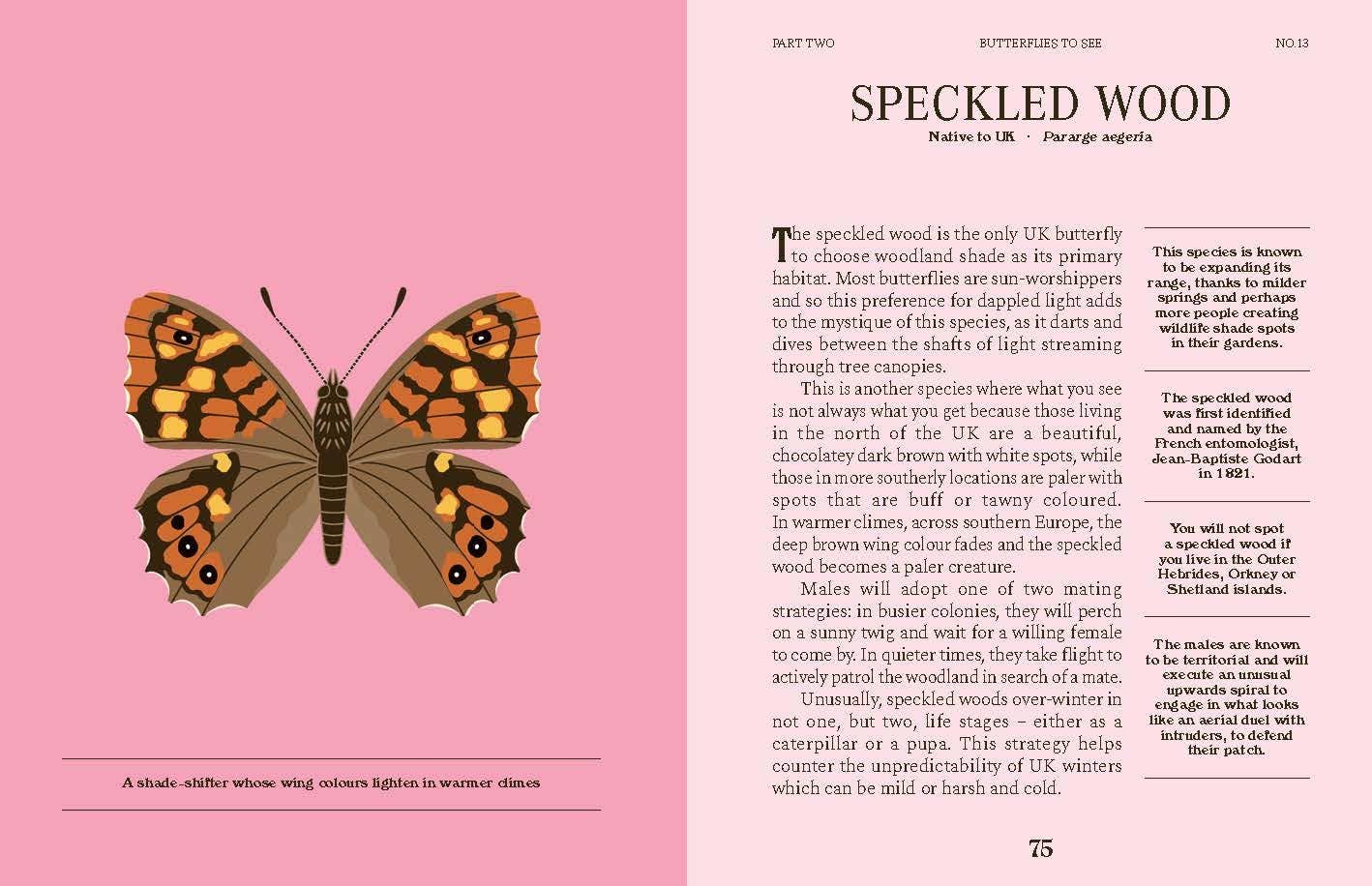 Butterflies: A Guide for the Curious