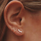 Indus Studs
