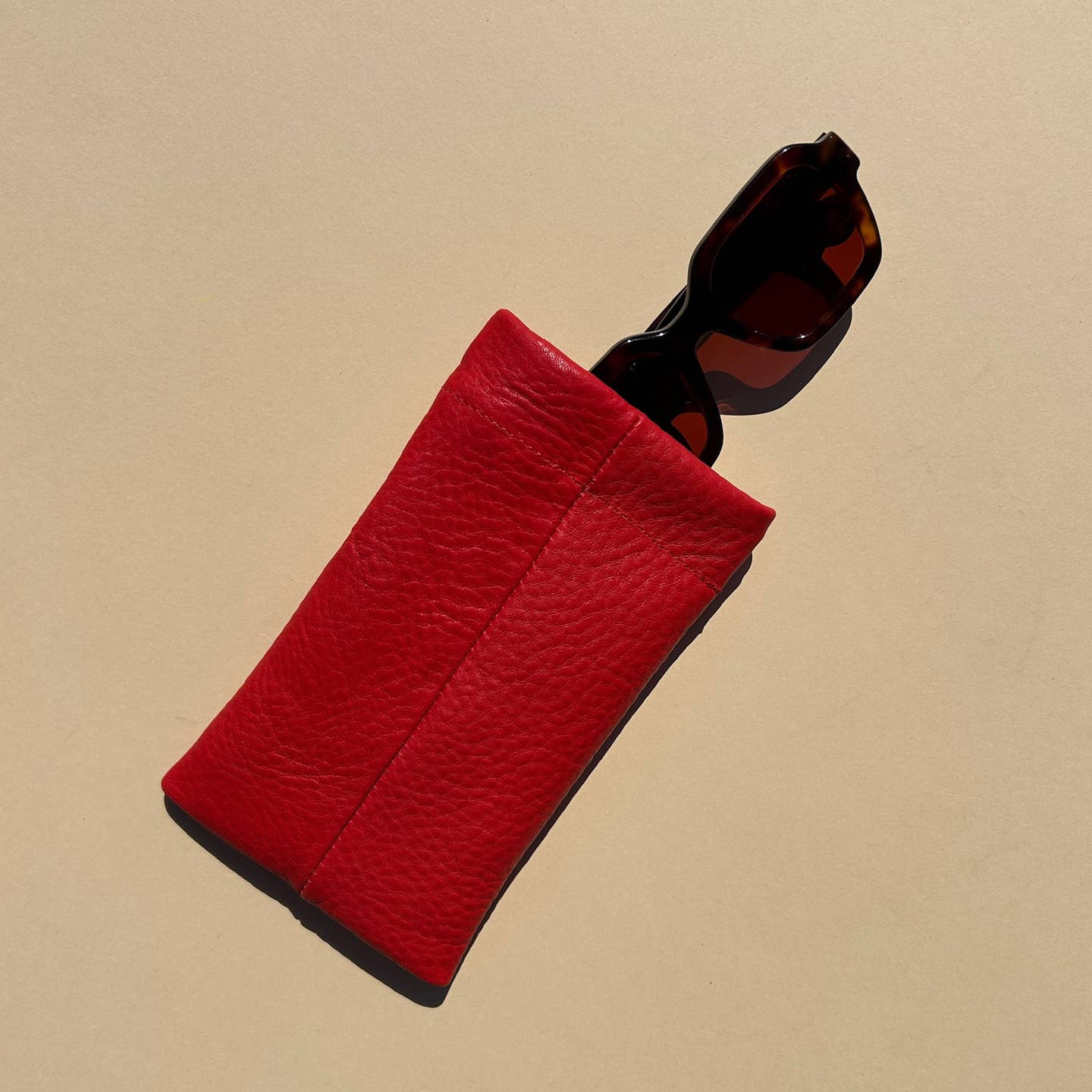 Sunglasses Case