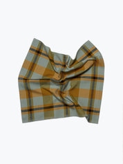 Charleston Plaid Napkin Pair - Sage