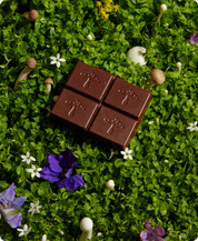 Nightcap - Mushroom Chocolates for Deep Sleep