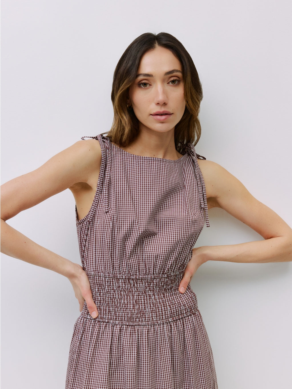 The Carroll Dress - Brown
