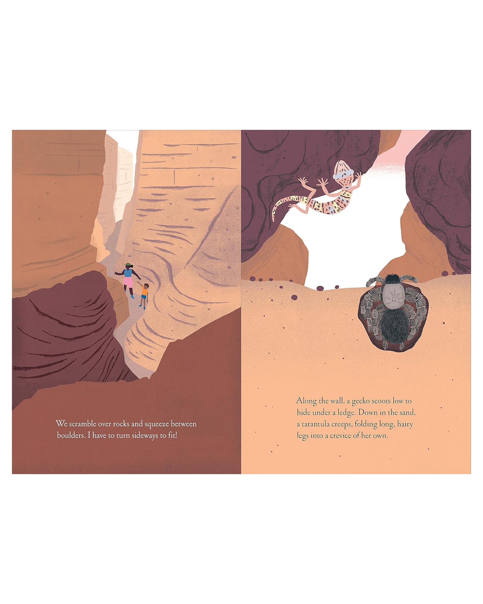 Over and Under the Canyon - Hardcover
