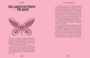 Butterflies: A Guide for the Curious