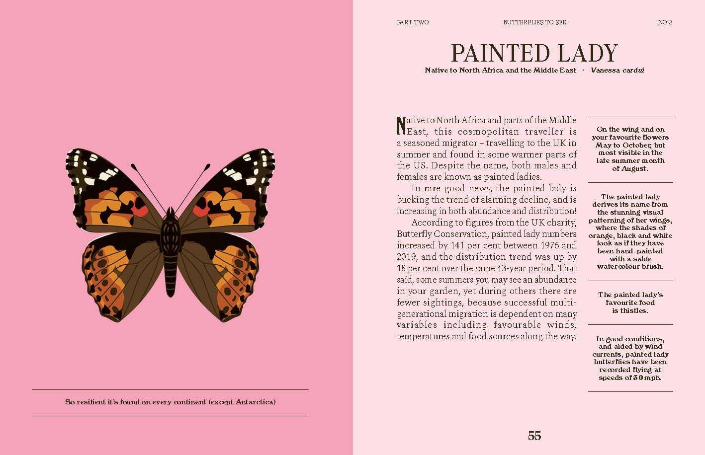 Butterflies: A Guide for the Curious