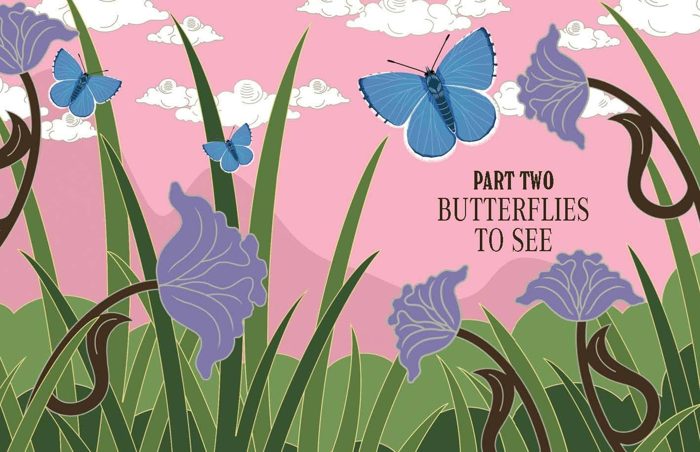 Butterflies: A Guide for the Curious