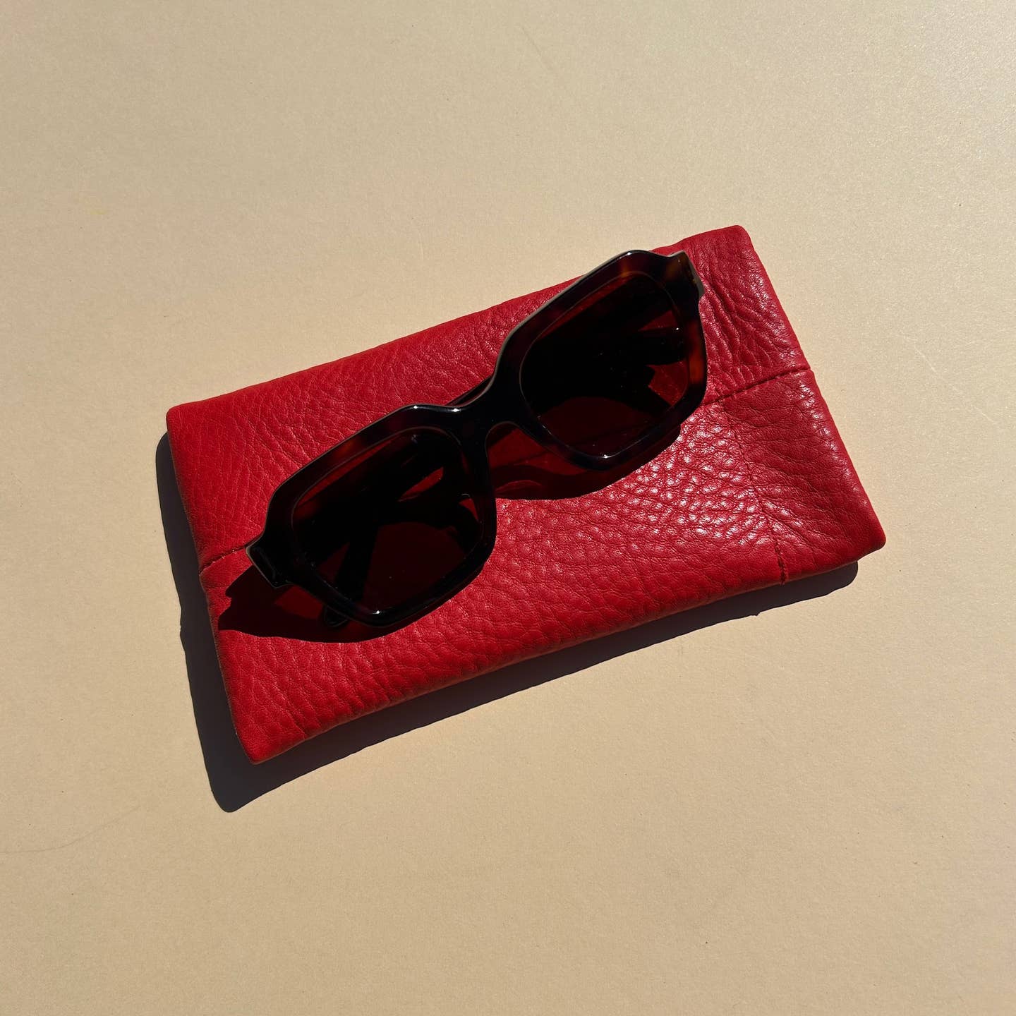 Sunglasses Case