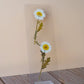 Pressed Flower Bookmark - April