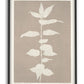 Philadelphus Coronarius - Printedplant