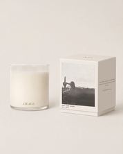 Desert Blossoms Candle