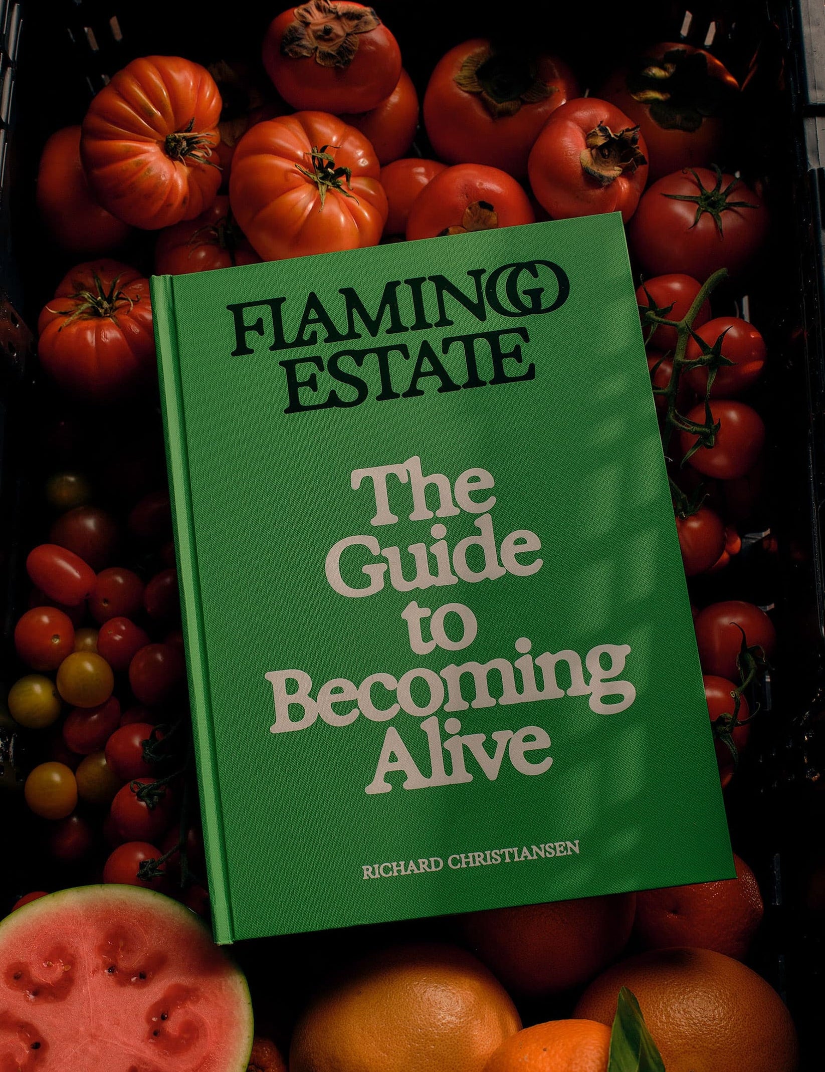 FE_Book_hdavison10082_a91c9538-6aee-4cb2-b1cd-93bb8a056f4d.jpg