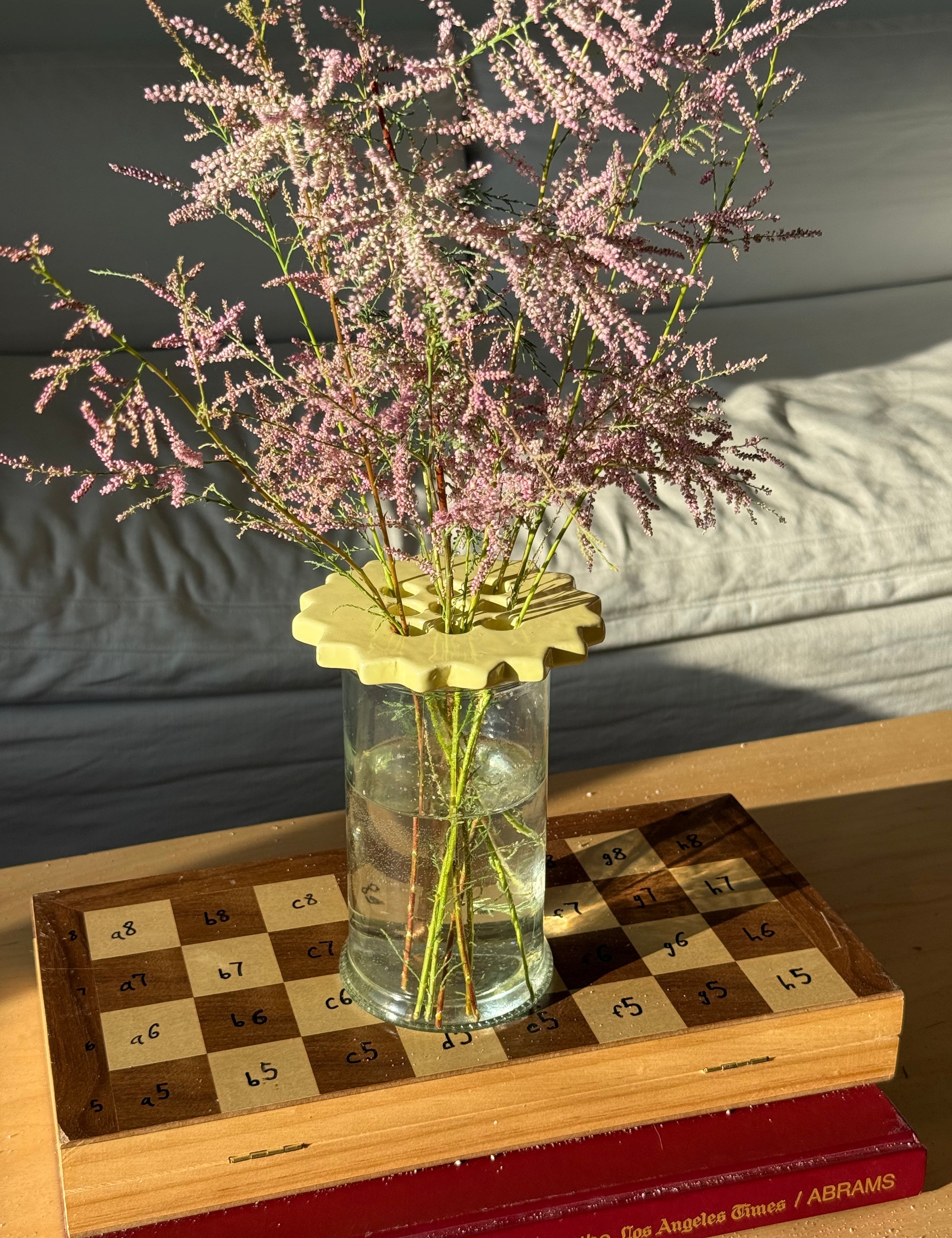 Sunshine Flower Frog