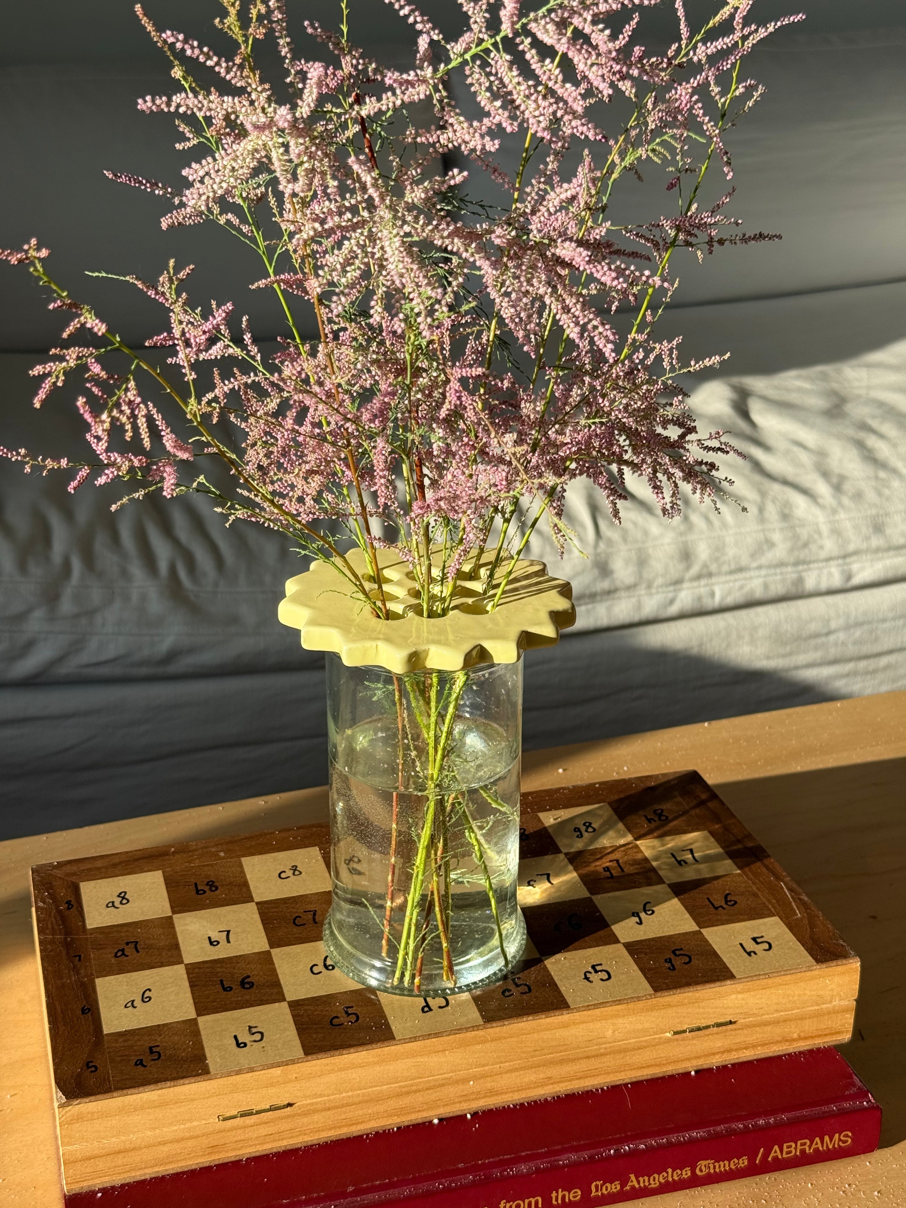 Sunshine Flower Frog