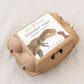 Dinosaur Egg Beeswax Crayons