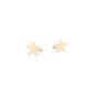 Nova Studs - Gold-Fill