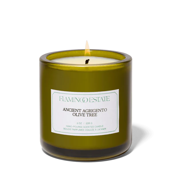 OliveTreeCandle.png