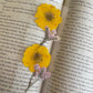 Pressed Flower Bookmark - Poppy Wright