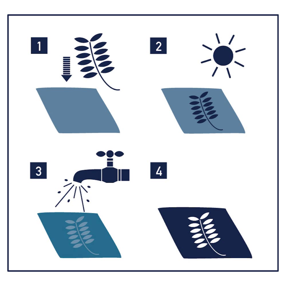 Sunography Fabric
