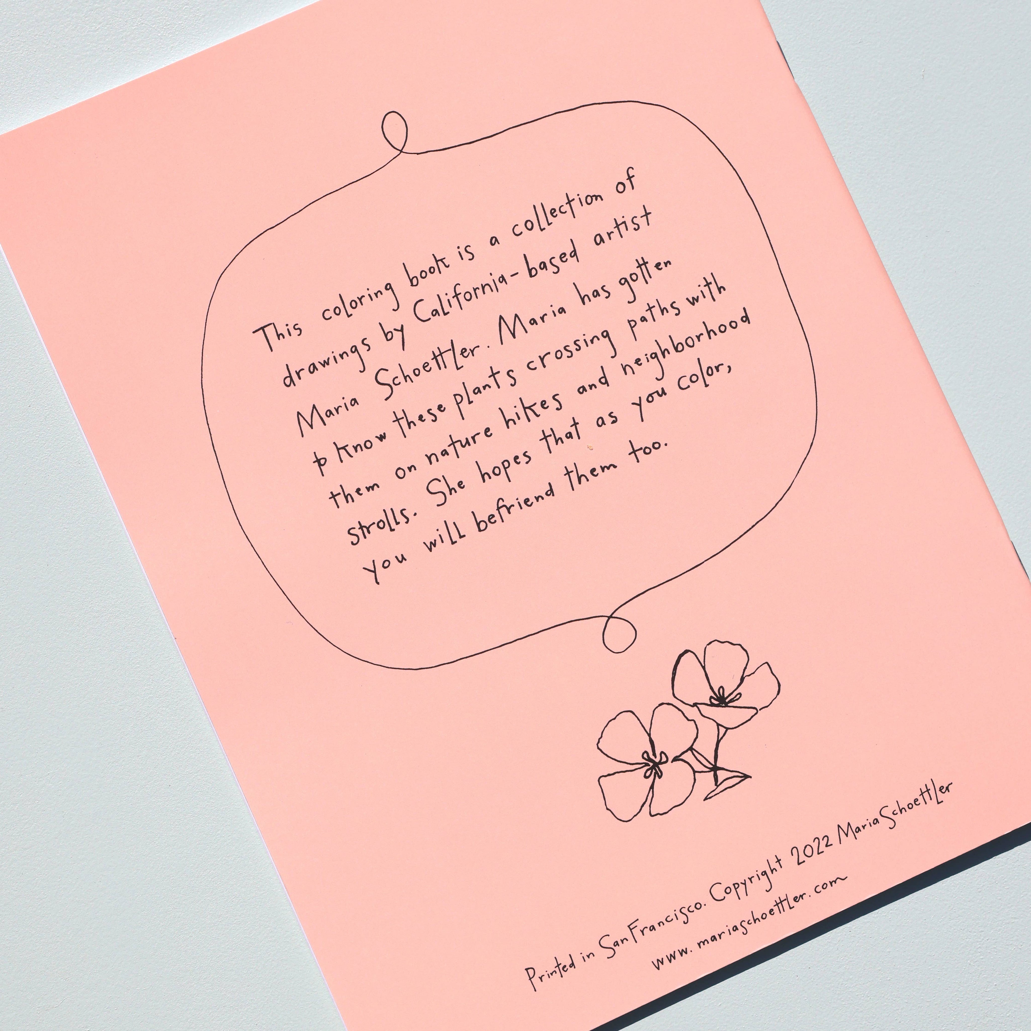 Buds Along the Path Coloring Book
