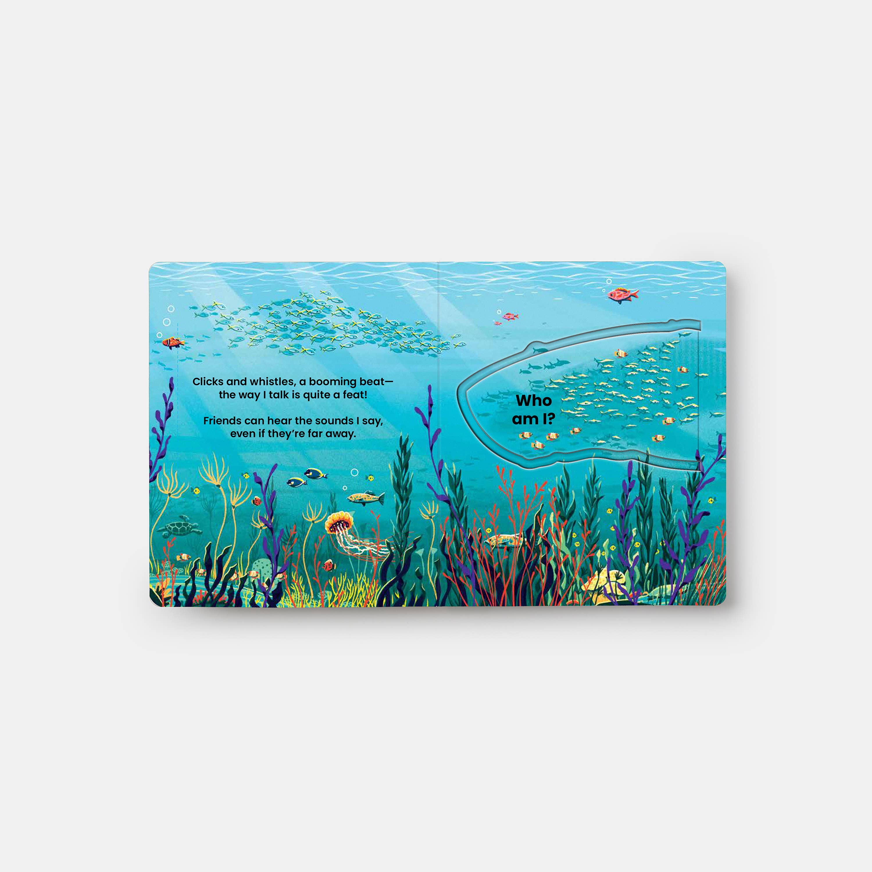 Under the Sea: A Lift-the-Flap Book