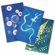 Sunography Color Cards