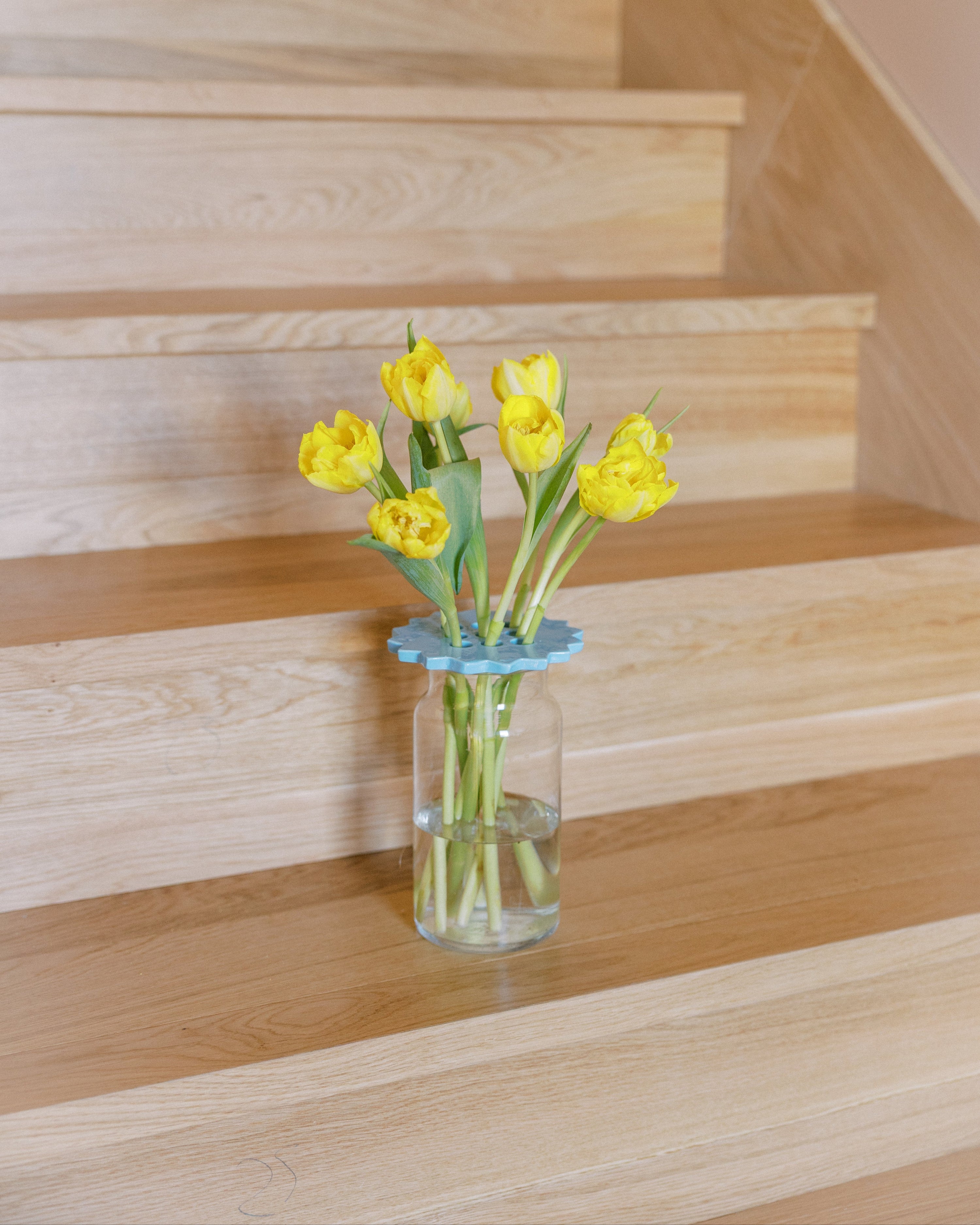 Sunshine Flower Frog