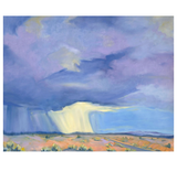 Desert Rain Art Print
