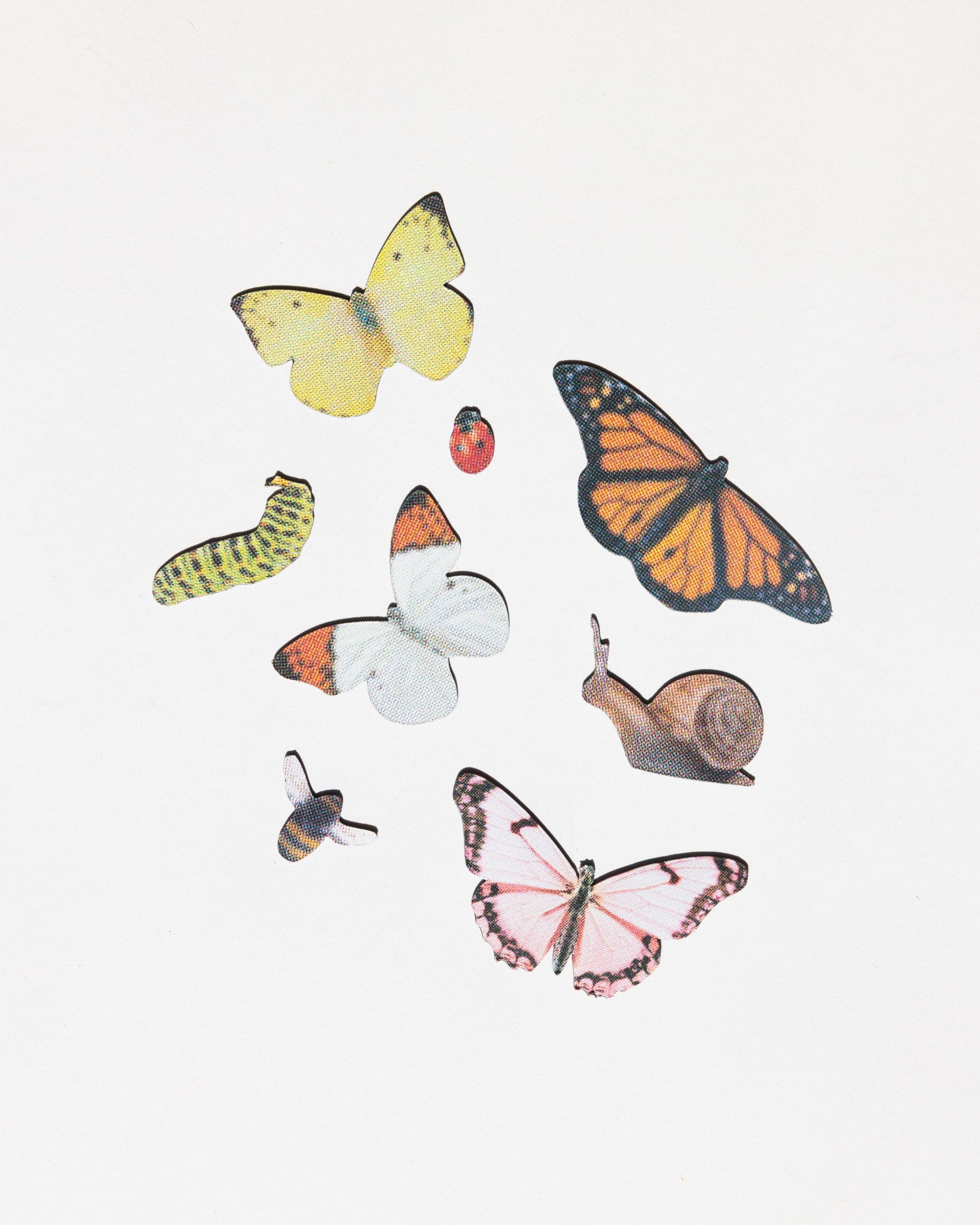 Bug Magnet Set