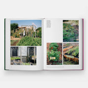 The Kitchen Garden