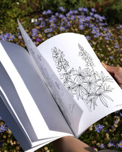 Buds Along the Path Coloring Book