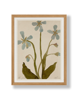 Blue Geranium Print