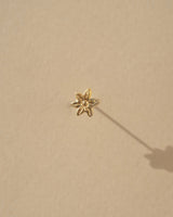 Stellate Earrings