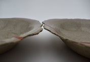 Border Serving & Dinner Plate