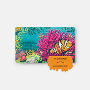 Under the Sea: A Lift-the-Flap Book