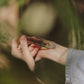 Perfume Oil - Cathedral Grove