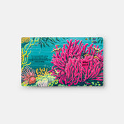 Under the Sea: A Lift-the-Flap Book