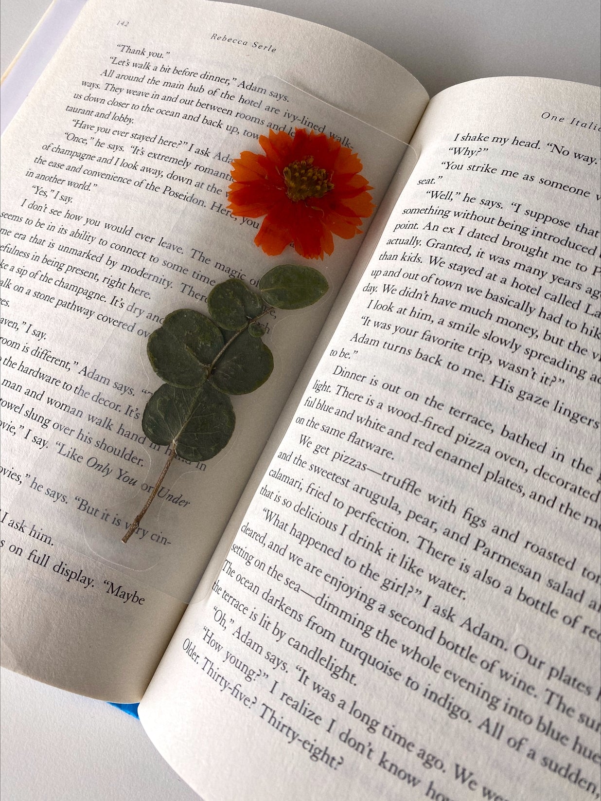 Pressed Flower Bookmark