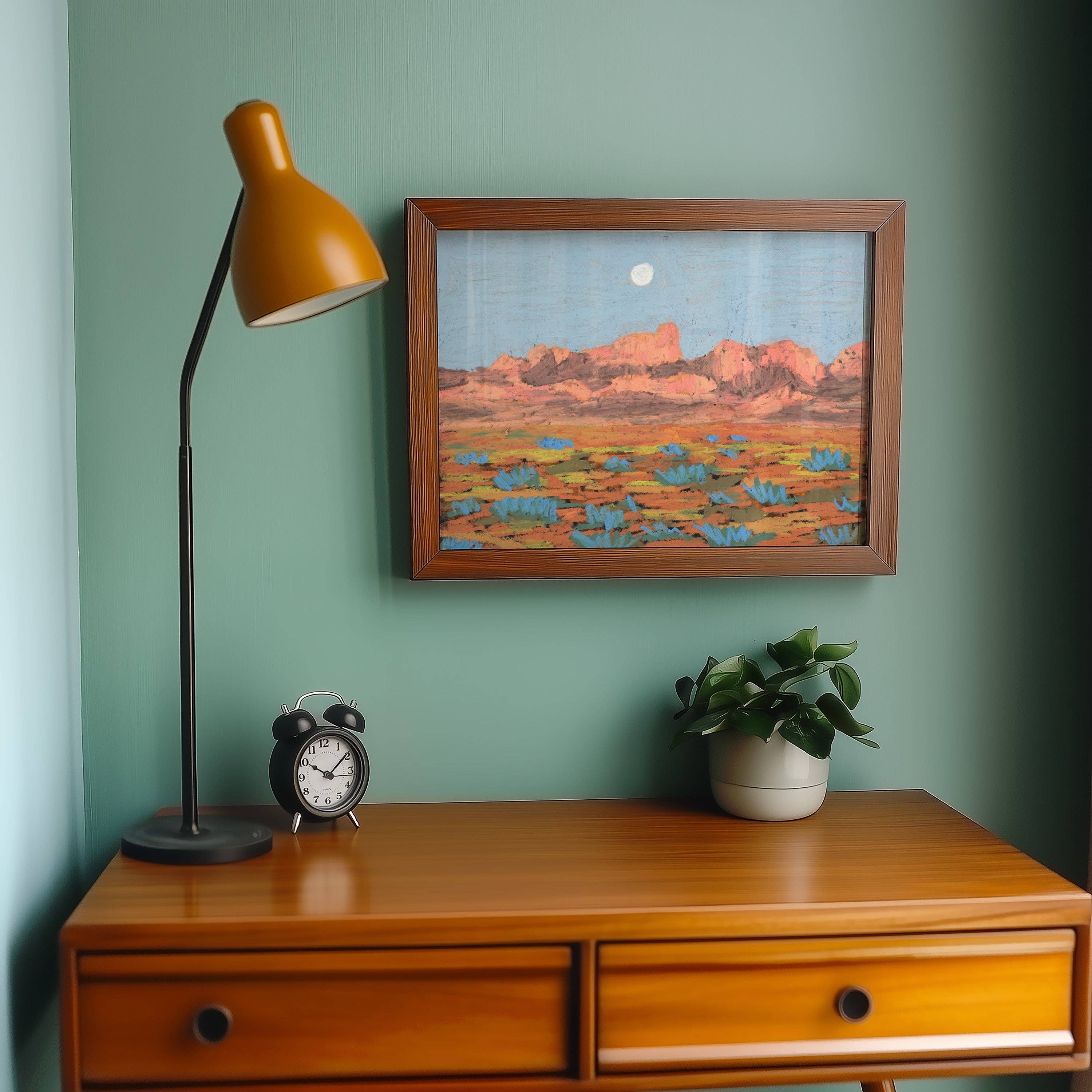 Big Bend National Park Art Print