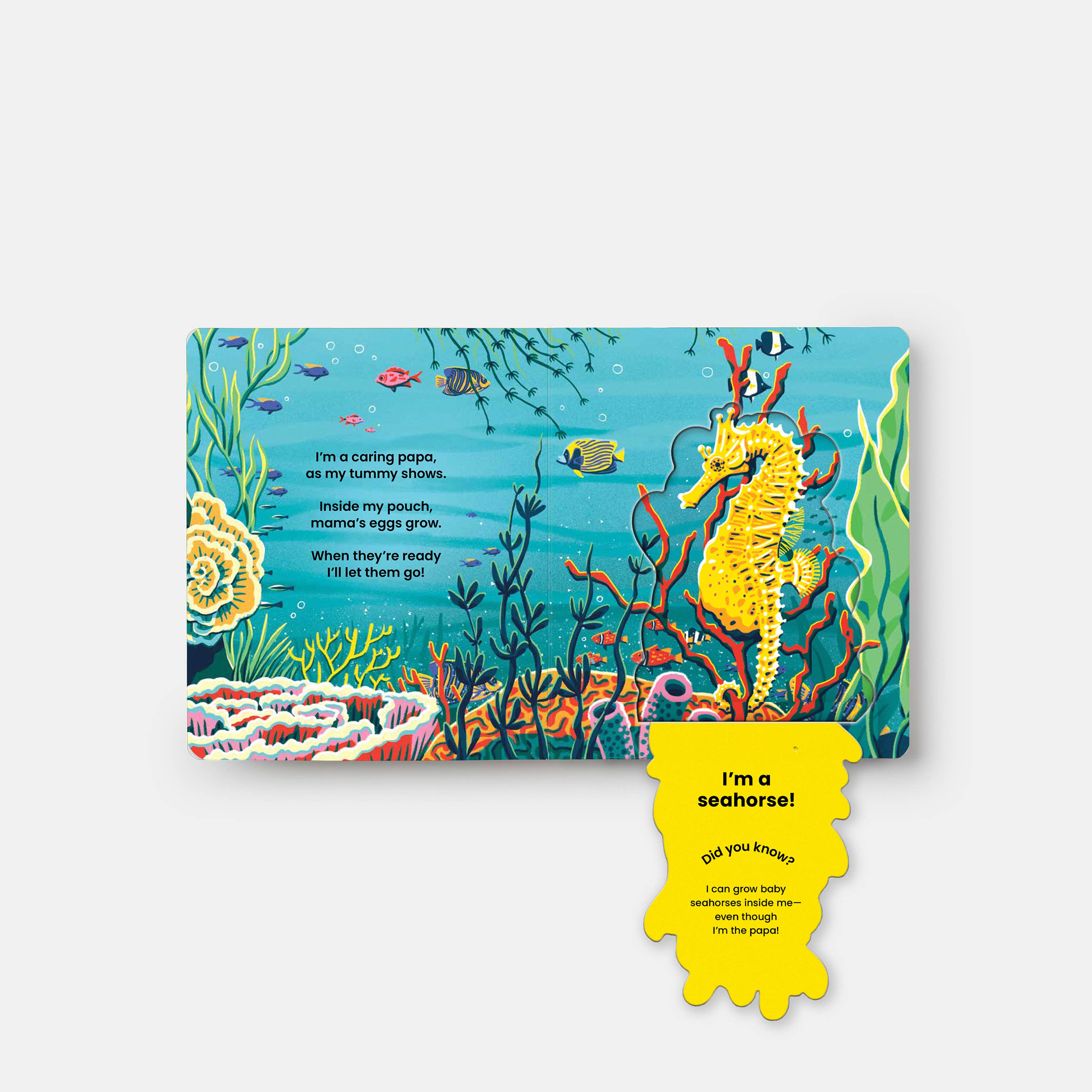 Under the Sea: A Lift-the-Flap Book