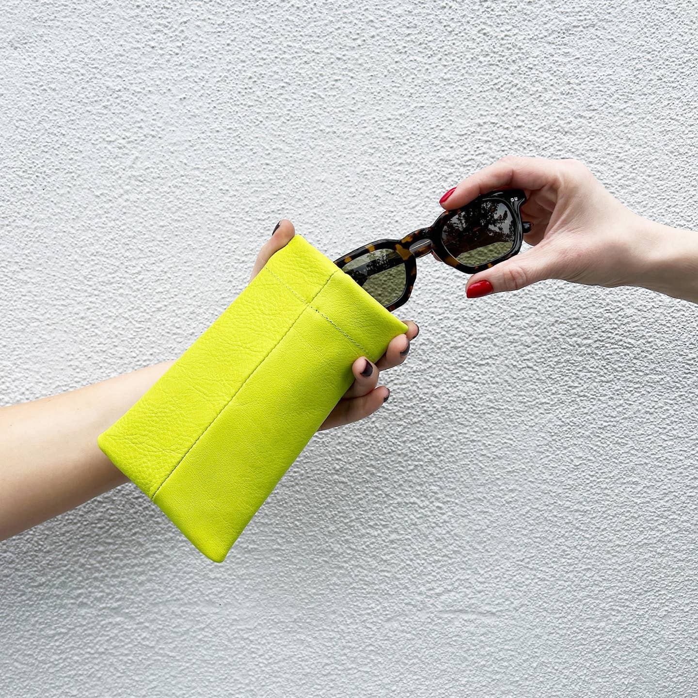 Sunglasses Case