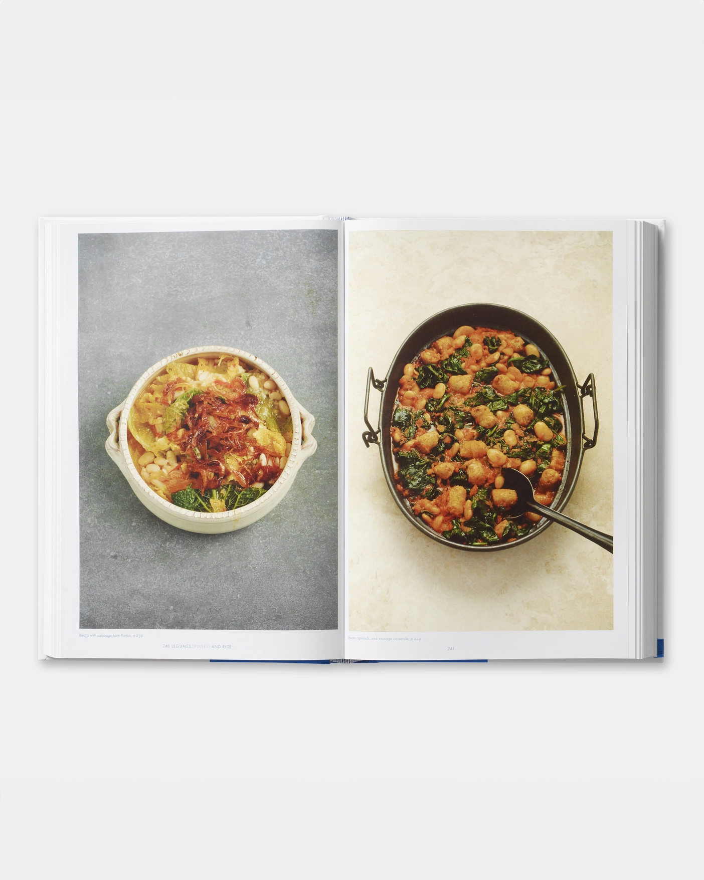 greece-the-cookbook-en-7380-3d-pp-240-241_-1to1_1_copy.png