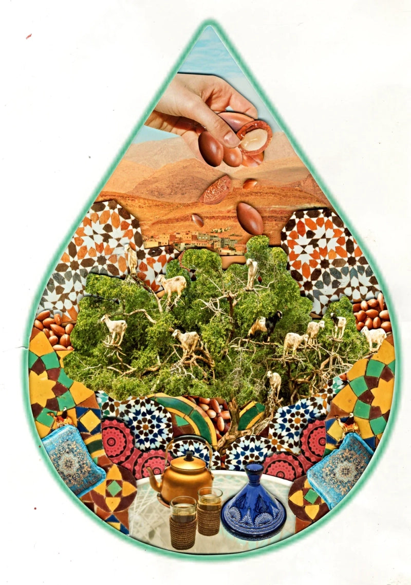 Argan Oil