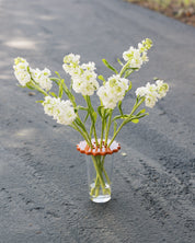 Sunshine Flower Frog