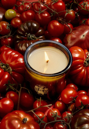 Roma Heirloom Tomato Candle