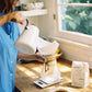 Beachwood Coffee Beans