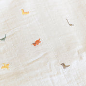 Organic Cotton Swaddle - Dinosaurs