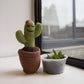 Potted Cactus Rattle Toy