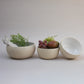 Basin Bowl